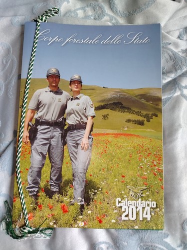 Calendario corpo forestale - calendario,