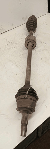 46308161 semialbero ant - 46308161,