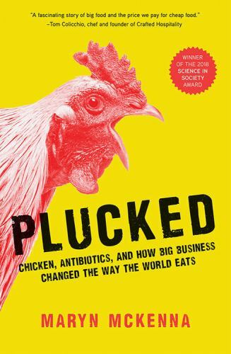 Plucked chicken antibiotics - plucked:, chicken,