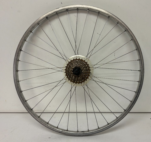 Ruota posteriore bici - ruota,