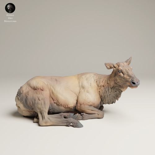 Diorama rocky mountain - elk, doe