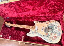 Shawn Mendes Foundation