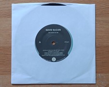David Bazan - The Man In Me /