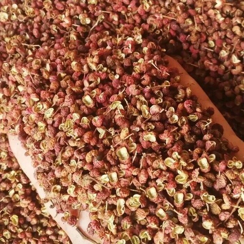 Peperoni frassino india - di,