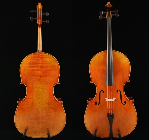 Favoloso violoncello suono - violoncello,