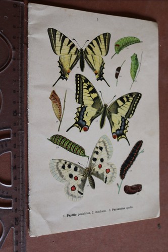 Vecchio quaderno tavole - quaderno,