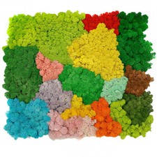 Renna paesaggio naturale