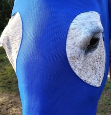 Maschera x Cavallo tessuto TXT