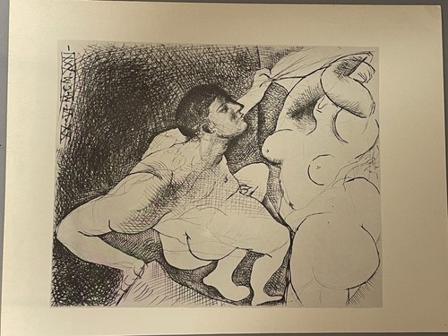 Picasso grain screen - picasso,