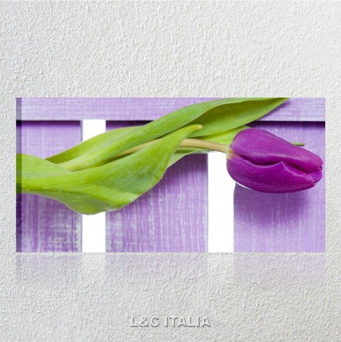 Tulipano quadro moderno quadri - tulipano,