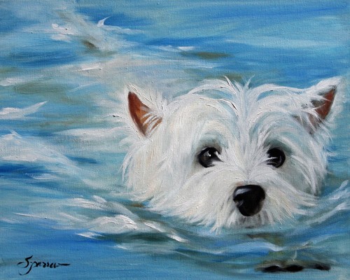 Westie west highland white - westie,