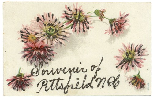 Souvenir pittsfield - pittsfield, ~