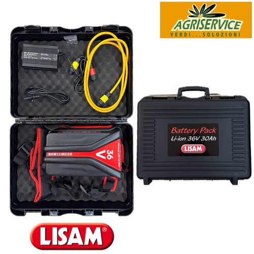 Batteria spalla zaino 36 - batteria, a