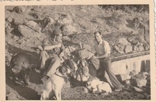 B4 - Foto Photo Fotografia anni 50 - Coppia Cacciatori con cani caccia