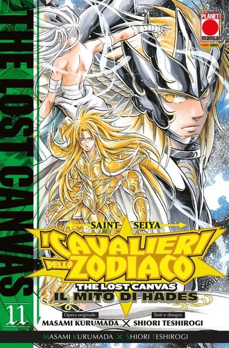 Saint seiya i cavalieri - saint,