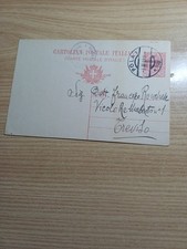 Dalmazia 1919 Cartolina