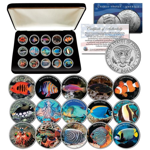 Saltwater fish acquario - saltwater,