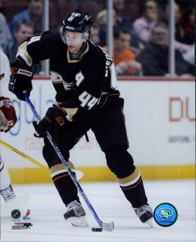 Foto rob niedermayer - rob,