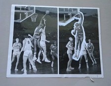 BASKET FOTO ORIGINALE BILL
