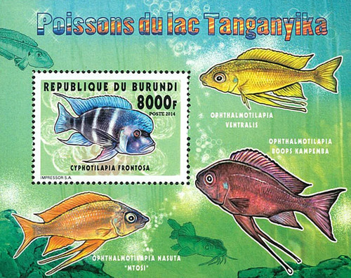 Francobolli burundi 2014 - burundi,