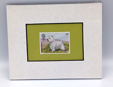 West Highland White Terrier