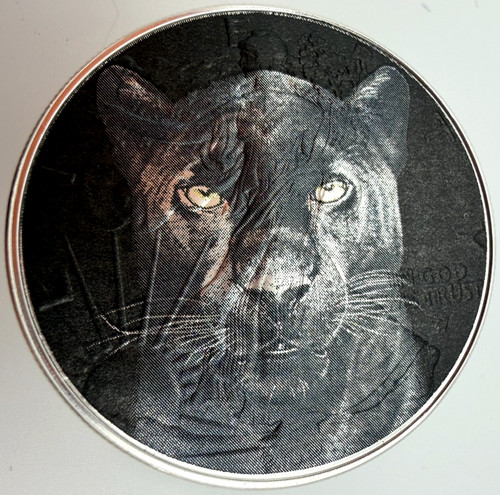 Black panther big cat - panther, cat"