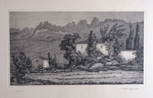 Vairo mongatti paesaggio - vairo,