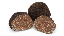 Tartufo Nero Pregiato (Tuber