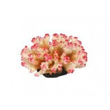Pocillopora 3 Decorazioni