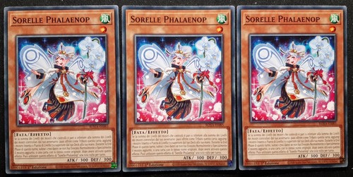 Playset sorelle phalaenop - 3x,