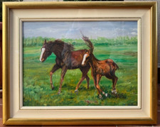 Dipinto olio tela - su, cavallo