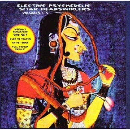 Electric psychedelic sitar - electric,