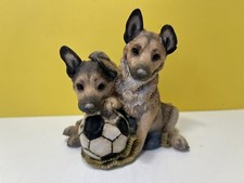 Alsatian Puppies ‘Match Of