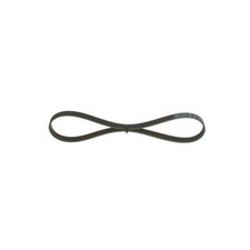 Cinghia poly bosch - cinghia,