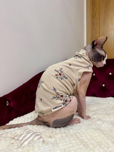 Maglione gatto sphynx - maglione, jersey