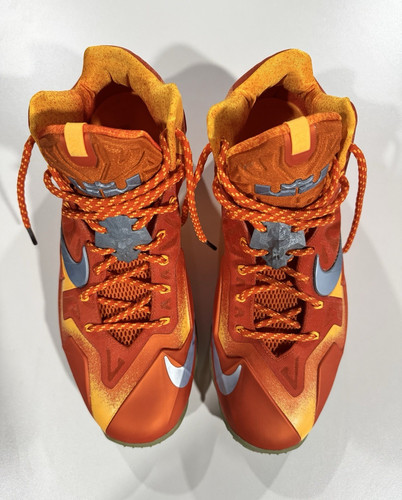 Nike lebron ferro - nike,