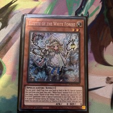 Elzette of the White Forest