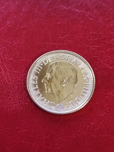 Sterlina oro carlo 2026 - carlo,