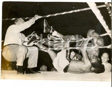 1960 ca USA BOXE Arbitro ferma