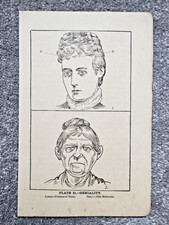 Geniality - Phrenology -