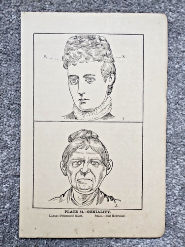 Geniality phrenology - geniality,