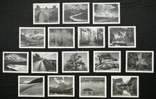 2024 #5854 a-p, Forever, ANSEL