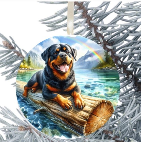 Rottweiler cucciolo cane - rottweiler,