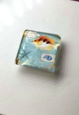 CALAMITE SOUVENIR IN VETRO 4