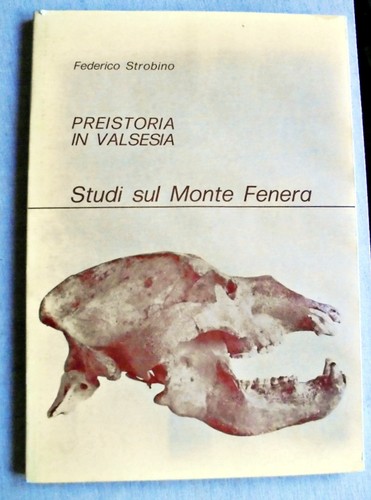 Preistoria valsesia studi - preistoria,
