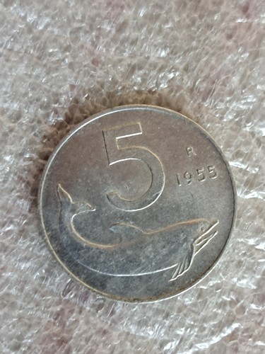Moneta lire delfino 1955 - lire,