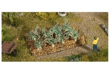 Noch 13222 16 Piante Da