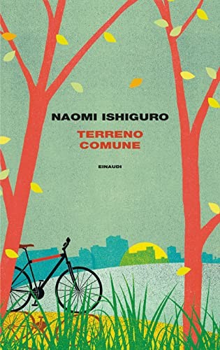 Terreno comune naomi - terreno,