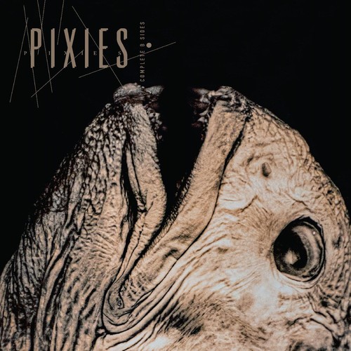 Pixies complete sides 2 - pixies,