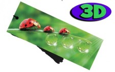Ladybird Moving 3D Hologram